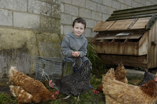  Boy and chickens in the secret garden